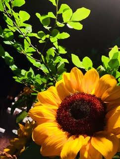 77741A16-C235-43C9-8D1E-2D010F0D8136.jpeg