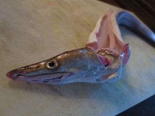 IMG_0650.jpg