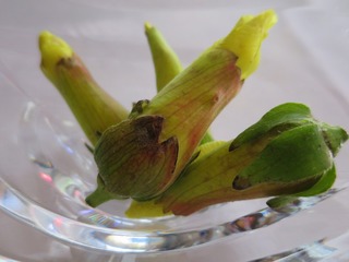 IMG_0780.jpg