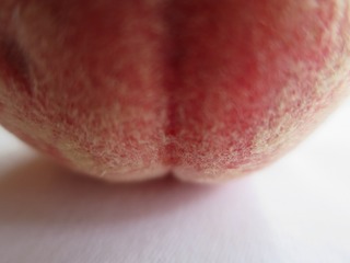 IMG_0861.jpg