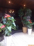 D1001099.jpg