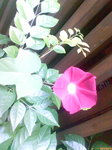 D1001188.jpg